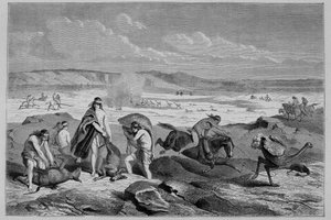 Jakt guanaco (vill lama) og nandou (eller patagonisk struts) i Argentina - i "" Tour du Monde"", 2. uke 1861 av French School