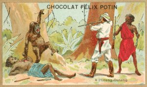 Jakt på orangutang (chromolitho) av French School