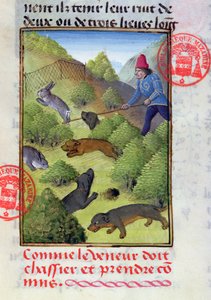Jakt på kaniner med hunder og garn, fra Livre de la Chasse av Gaston Phebus, tidlig på 1400-tallet av French School