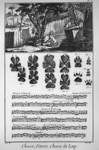 Å jakte på ulven (ulike måter eller feller å ta ulvene på) - "" The Great Encyclopedie, ou Dictionnaire Raisonne des Sciences, des Arts et des Metiers"" (Encyclopedia or Dictionary of the Sciences, Arts and Professions) av Denis Diderot (1713) -1784) og av French School
