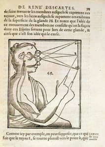 Illustrasjon fra De Homine Figuris av Rene Descartes (1596-1650) utgitt i Haag, 1662 av French School