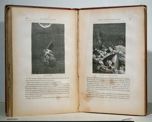 Illustrasjoner fra Månen rundt av Jules Verne (1828-1905) av French School