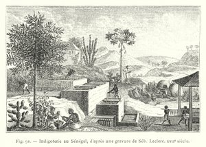 Indigoterie i Senegal, etter en gravering av Seb, Leclerc, 1600-tallet (gravering) av French School