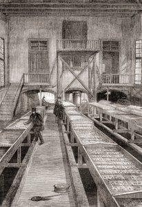 Interiør av en fiskefarm fra 1800-tallet i Huningue, Frankrike, fra Les Merveilles de la Science, utgitt ca. 1870 (gravering) av French School