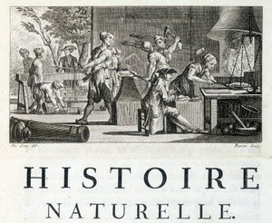 Interiør i en smie - i "" Naturhistorie, generelt og spesielt"" av Buffon av French School