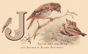 J: Young Jays Pretty er spillere og glad Jolily! av French School