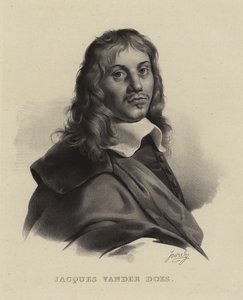 Jacob van der Does, nederlandsk kunstner