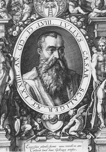 Julius Caesar Scaliger (gravering) av French School