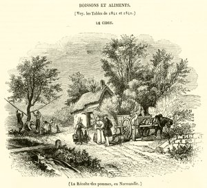 Høsting av epler i Normandie (gravering) av French School
