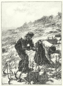 Pruning The Vines (gravering) av French School