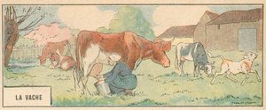 La Bache (svart litho) av French School