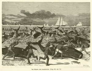 Nisejakten (gravering) av French School
