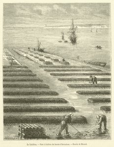 Le Lahillon, østerspark i Arcachon-bassenget (gravering) av French School