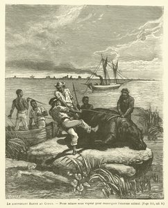 Løytnant Harou i Kongo (gravering) av French School