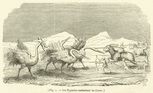Pygmeene som kjemper mot kranene (gravering) av French School