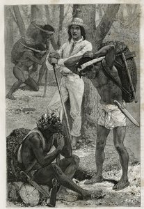 Les porters (caucheros), i Darien (regionen i det østlige Panama), gravering etter en tegning av D. Maillart, for å illustrere historien Exploration at the isthms of Panama and Darien, av A. Reclus, skipsløytnant, fra 1876 til 1878 , publisert i tour du mo av French School