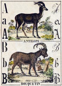 Bokstav A antilope; B Ibex. Gravering i "" Alphabet des animaux sauvages"". 9. serie. Bilder av Epinal, Pellerin, trykkeri-utgiver, ca. 1870. Graveringer på tre, stensilert. 16 sider. Mål: 20 x 15 cm. Privat samling av French School