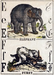 Bokstaven E elefant; F Ilder. Gravering i "" Alphabet des animaux sauvages"". 9. serie. Bilder av Epinal, Pellerin, trykkeri-utgiver, ca. 1870. Graveringer på tre, stensilert. 16 sider. Mål: 20 x 15 cm. Privat samling av French School