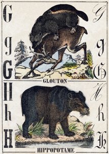 Bokstaven G Glutton; H Flodhest. Gravering i "" Alphabet des animaux sauvages"". 9. serie. Bilder av Epinal, Pellerin, trykkeri-utgiver, ca. 1870. Graveringer på tre, stensilert. 16 sider. Mål: 20 x 15 cm. Privat samling av French School