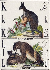 Bokstaven K L; K Kanguroo; Løvinnen. Gravering i "Ville dyr alfabetet". 9. serie. Bilder av Epinal, Pellerin, trykkeri-utgiver, ca. 1870. Graveringer på tre, stensilert. 16 sider. Størrelse: 20 x 15 cm. Privat samling av French School