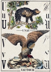 Bokstaven U Unau (lat); V Vulture. Gravering i "" Alphabet des animaux sauvages"". 9. serie. Bilder av Epinal, Pellerin, trykkeri-utgiver, ca. 1870. Graveringer på tre, stensilert. 16 sider. Mål: 20 x 15 cm. Privat samling av French School