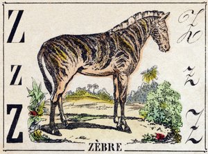 Bokstav Z Zebra. Gravering i "Ville dyr alfabetet". 9. serie. Bilder av Epinal, Pellerin, trykkeri-utgiver, ca. 1870. Graveringer på tre, stensilert. 16 sider. Størrelse: 20 x 15 cm. Privat samling av French School