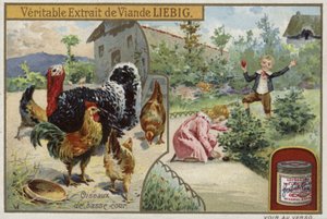 Liebig-kort med fjærfe av French School