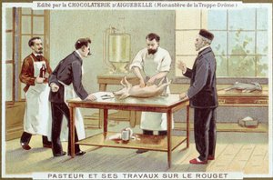 Louis Pasteur (1822-95) arbeider med etterforskning av meslinger, reklamekort for Chocolaterie dAiguebelle