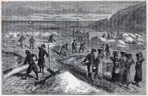 Marais salants de Bretagne på 1800-tallet - Gravering i "Vitenskaper brakt til stipendenes takknemlige - fysikk og kjemi" av Alexis Clerc - Sent på 1800-tallet - Privat samling av French School