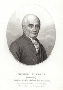 Michel Adanson av French School