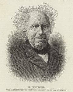 Michel Eugene Chevreul av French School