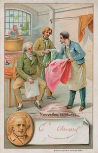 Michel Eugene Chevreul , fransk kjemiker (1786-1889), inspiserer noen nye fargestoffer av French School