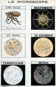 Mikroskoper: en brikke, kiselalger, blod, kull, tuberkulose, metaller. av French School