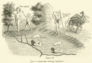 Monokuler, Blemmys, Sciopodes (gravering) av French School