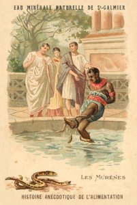 murene (chromolitho) av French School