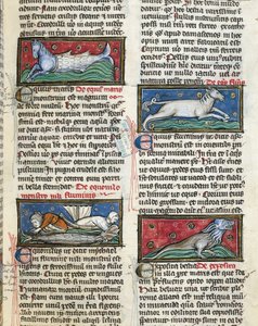 Ms 320 Fol.115r Sea Monsters, fra 'De Natura rerum' av Thomas van Cantimpre (1201-72) (vellum) av French School