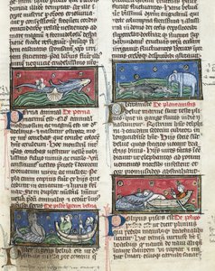 Ms 320 Fol.116 Sea Monsters, fra 