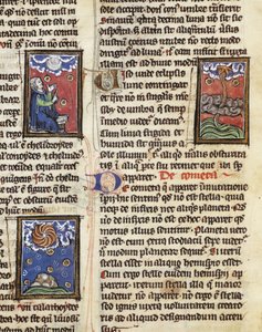 Ms 320 Fol.197 Comets, fra 'De Natura rerum' av Thomas van Cantimpre (1201-72) (vellum) av French School