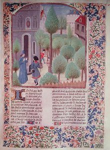 Ms 5064 fol.105r Plante trær, fra Livre des Prouffitz Champestres av Pietro de Crescenzi (1230-132021) av French School