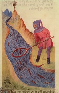 Ms 59 fol.3r Fisherman, fra Grand Herbier av French School