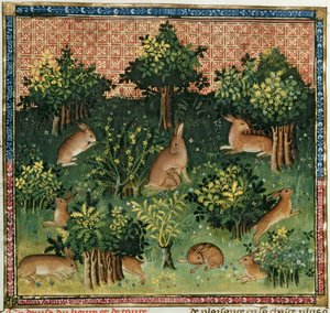 Ms Fr 616 fol.24v Hares in a Wood, from the Livre de la Chasse av Gaston Phebus de Foix (1331-91) av French School