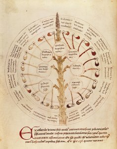 Ms Lat 11229 fol.19r Tabell for urinanalyse, fra Petit Traite dhygiene et Medecine av French School