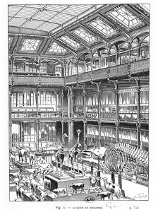 Naturhistorisk museum i Paris av French School