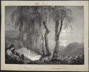 Napoleon Bonaparte besøker graven sin på St. Helena
