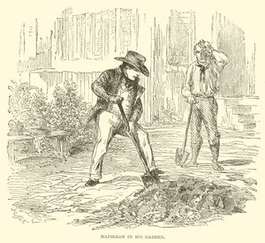 Napoleon i hagen sin (gravering) av French School