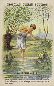 Narcissus av French School