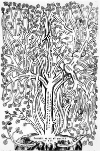 Organigram som viser organiseringen av regjeringen i Frankrike på 1500-tallet, 1579 av French School