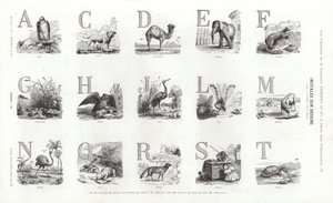 Side fra typografiske vignetter (gravering) av French School