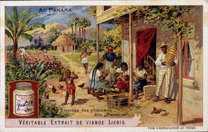 Panama: flette panamahatter - chromo. Liebig av French School