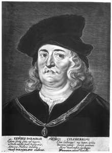 Paracelsus (1493–1541) av French School